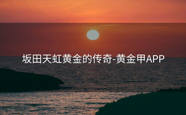 坂田天虹黄金的传奇-黄金甲APP