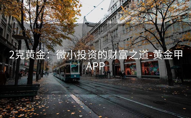 2克黄金：微小投资的财富之道-黄金甲APP