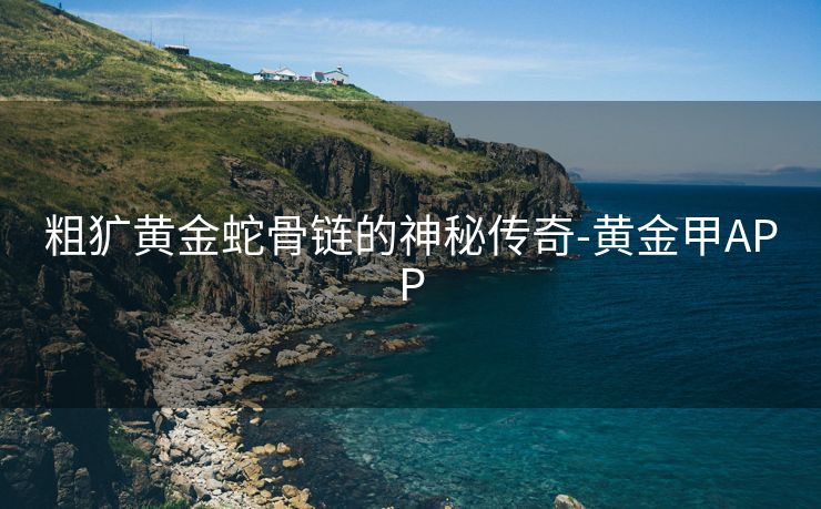 粗犷黄金蛇骨链的神秘传奇-黄金甲APP