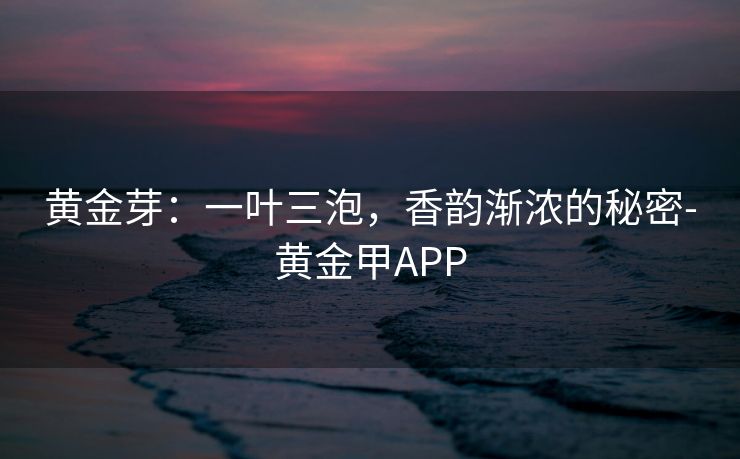 黄金芽：一叶三泡，香韵渐浓的秘密-黄金甲APP