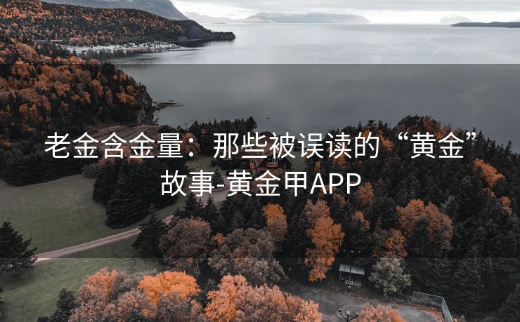 老金含金量：那些被误读的“黄金”故事-黄金甲APP
